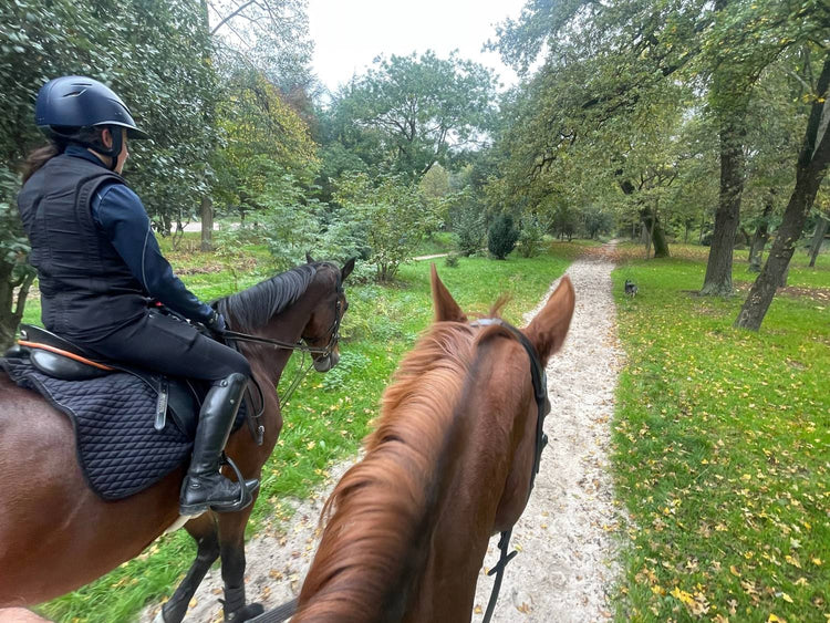 Balade à cheval en forêt avec équipement équestre complet – cavalière en tenue d’équitation et selle haut de gamme disponibles en magasin d’équitation à Paris
