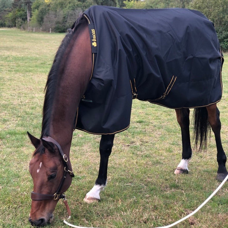 Couvertures d'extérieur pour chevaux| B-Alezane