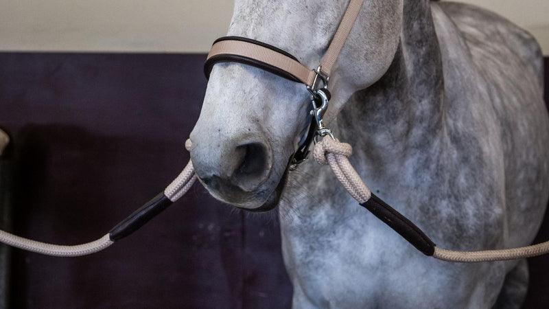 Chargez l'image dans la visionneuse de la galerie, Longe en corde