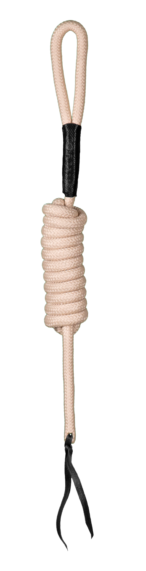 Chargez l'image dans la visionneuse de la galerie, Longe éducative