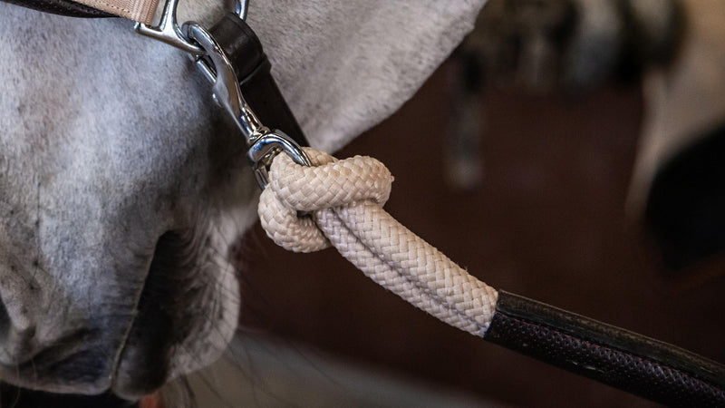 Chargez l'image dans la visionneuse de la galerie, Longe éducative