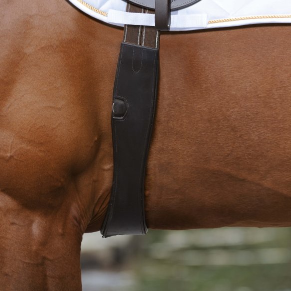 Chargez l'image dans la visionneuse de la galerie, Havane