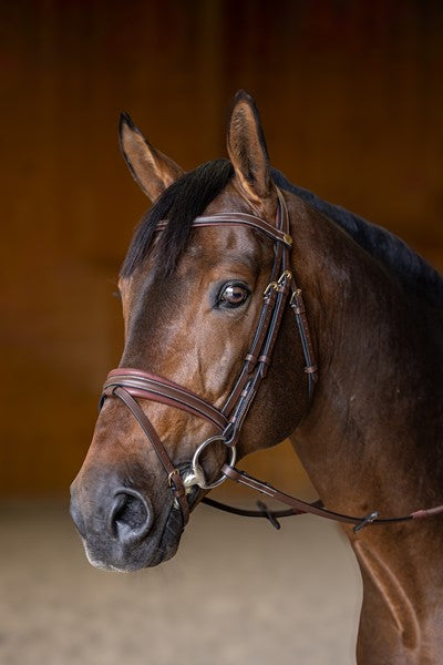 Chargez l'image dans la visionneuse de la galerie, Bridon combiné padded