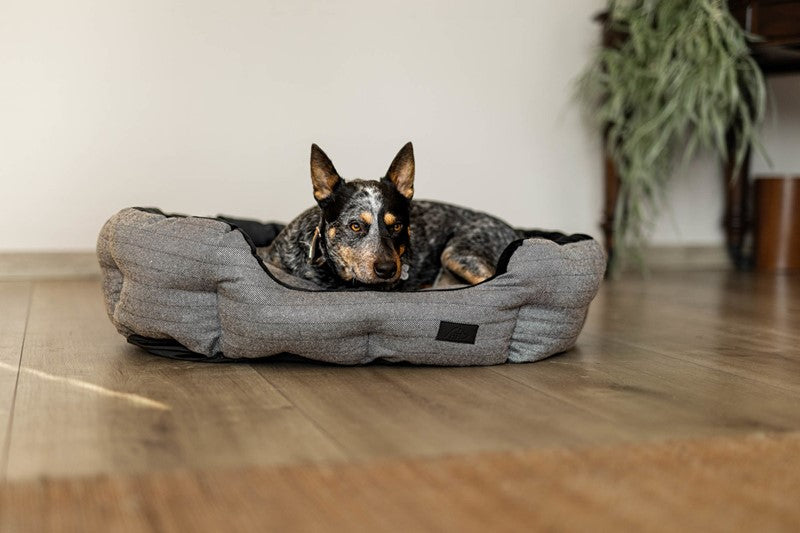 Chargez l'image dans la visionneuse de la galerie, Panier pour chien Ovale