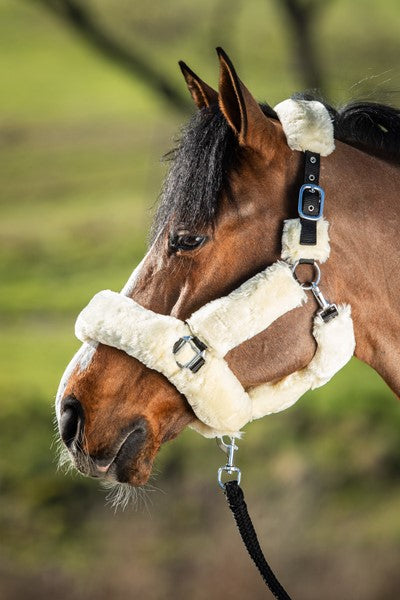 Chargez l'image dans la visionneuse de la galerie, Licol cosy