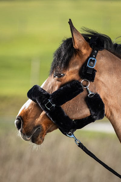 Chargez l'image dans la visionneuse de la galerie, Licol cosy