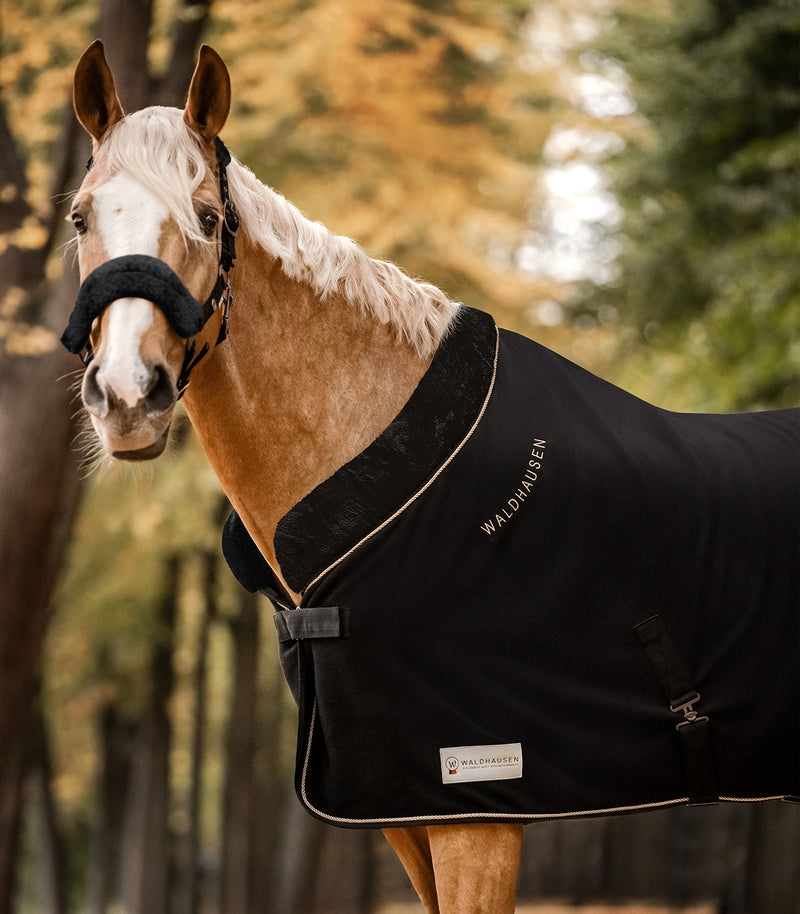 Chargez l'image dans la visionneuse de la galerie, Noir/or