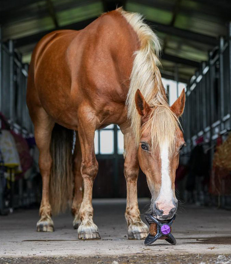 Chargez l'image dans la visionneuse de la galerie, Bizzy Ball
