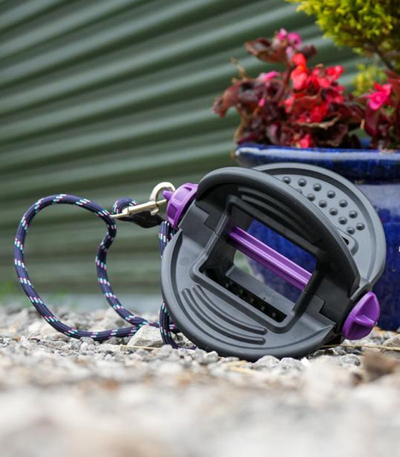 Chargez l'image dans la visionneuse de la galerie, Bizzy Ball