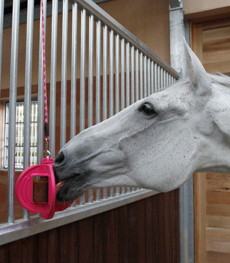 Chargez l'image dans la visionneuse de la galerie, Bizzy Ball