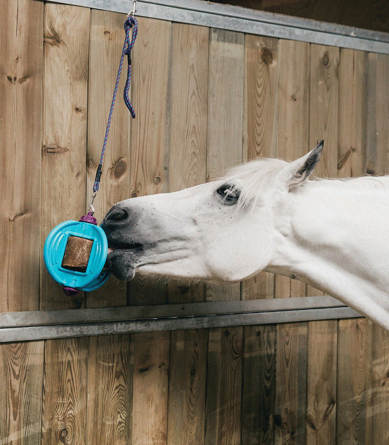 Chargez l'image dans la visionneuse de la galerie, Bizzy Ball