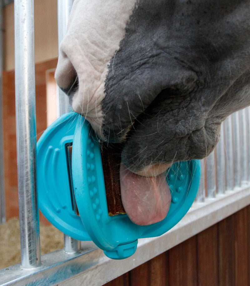 Chargez l'image dans la visionneuse de la galerie, Bizzy Ball