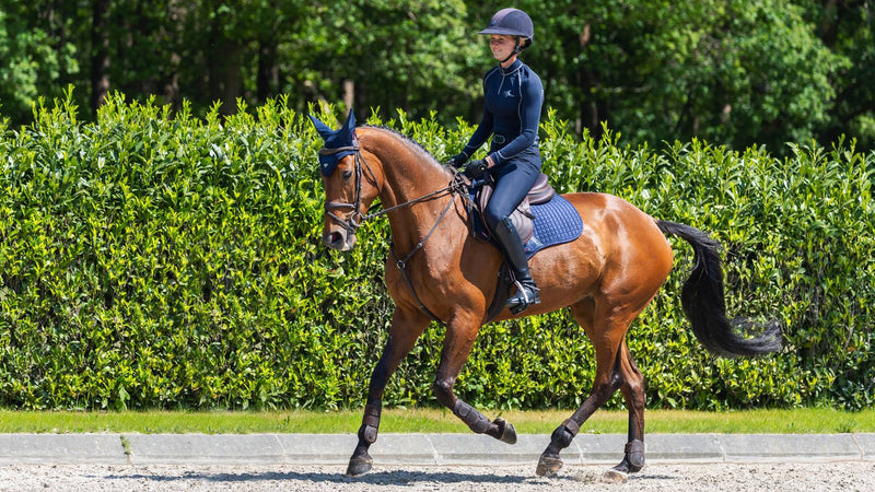 Chargez l'image dans la visionneuse de la galerie, Tapis de selle Square suède CSO