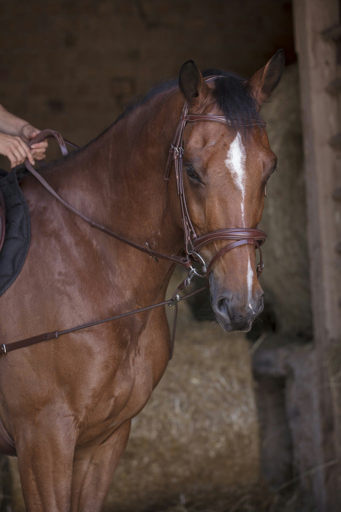 Chargez l'image dans la visionneuse de la galerie, Enrênement élastique court/poulies
