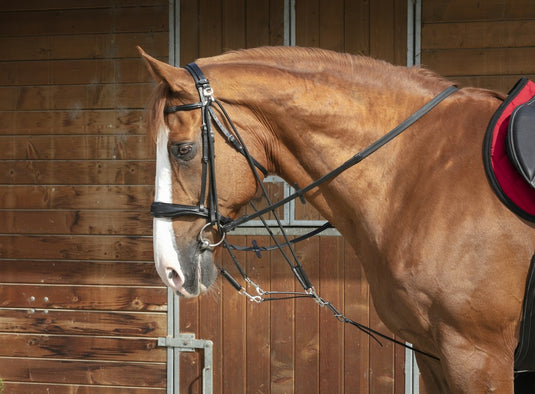 Gogue à poulies Norton