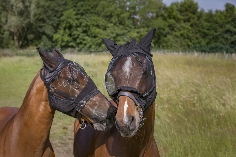 Chargez l'image dans la visionneuse de la galerie, Masque anti-mouches Équithème 2 en 1