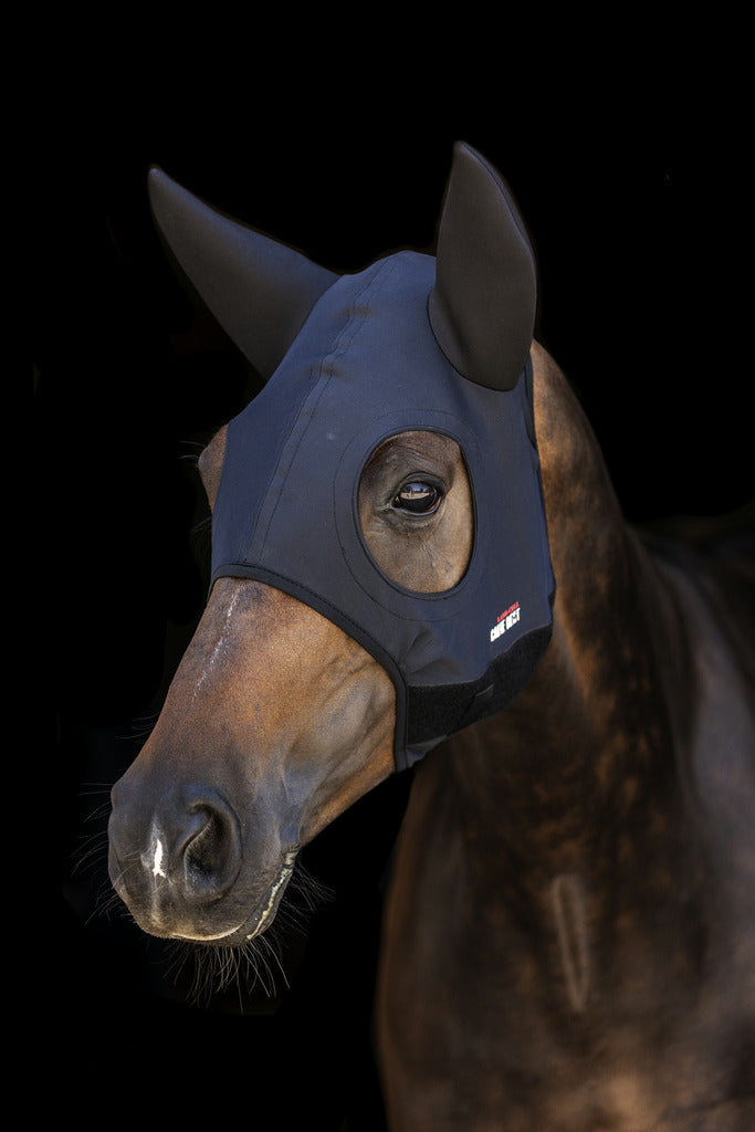 Chargez l'image dans la visionneuse de la galerie, Masque Titanium Anti stress avec oreilles