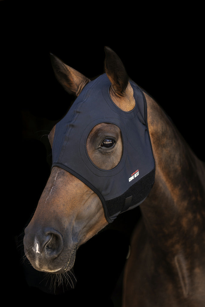 Chargez l'image dans la visionneuse de la galerie, Masque Titanium Anti stress sans oreilles