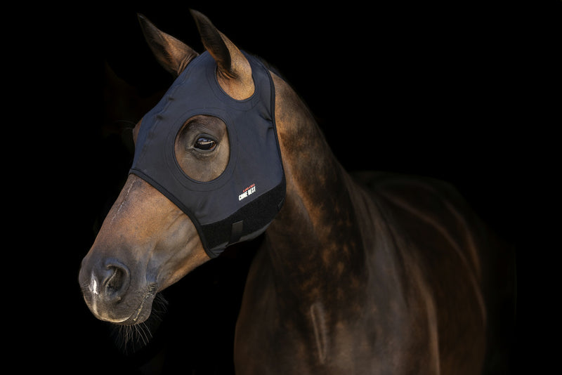 Chargez l'image dans la visionneuse de la galerie, Masque Titanium Anti stress sans oreilles