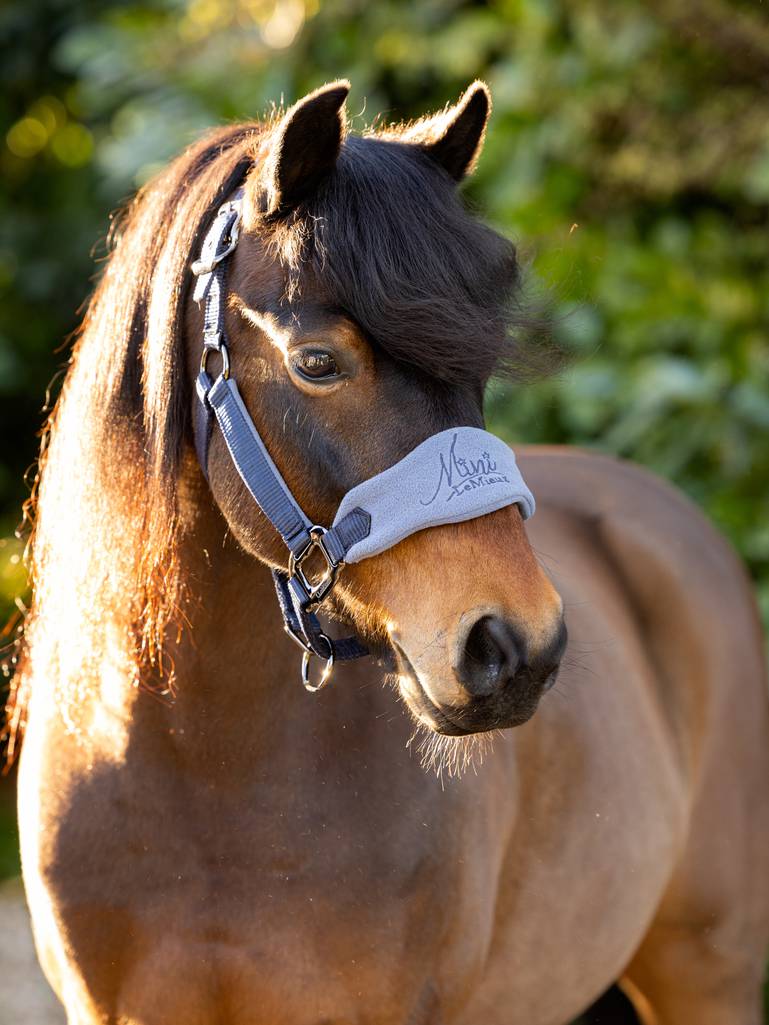 Chargez l'image dans la visionneuse de la galerie, Vogue fleece headcollar Poney