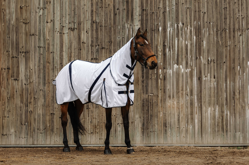 Chargez l'image dans la visionneuse de la galerie, Chemise anti-insectes EQUITHÈME - Mesh combo