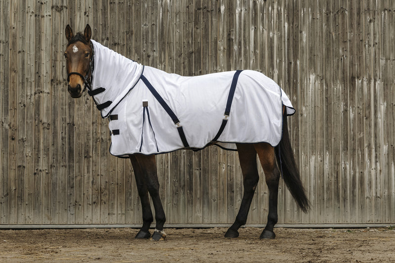 Chargez l'image dans la visionneuse de la galerie, Chemise Mesh