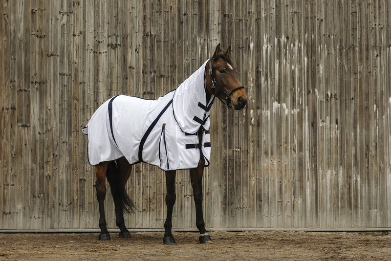 Chargez l'image dans la visionneuse de la galerie, Chemise Mesh