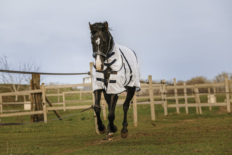 Chargez l'image dans la visionneuse de la galerie, Chemise Mesh