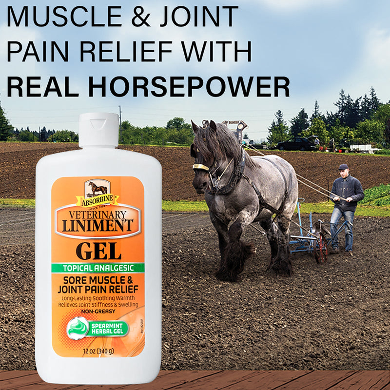 Chargez l'image dans la visionneuse de la galerie, Absorbine Veterinary Liniment Gel – application
