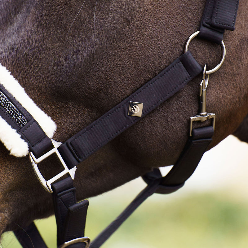 Chargez l'image dans la visionneuse de la galerie, Licol Jewel cheval