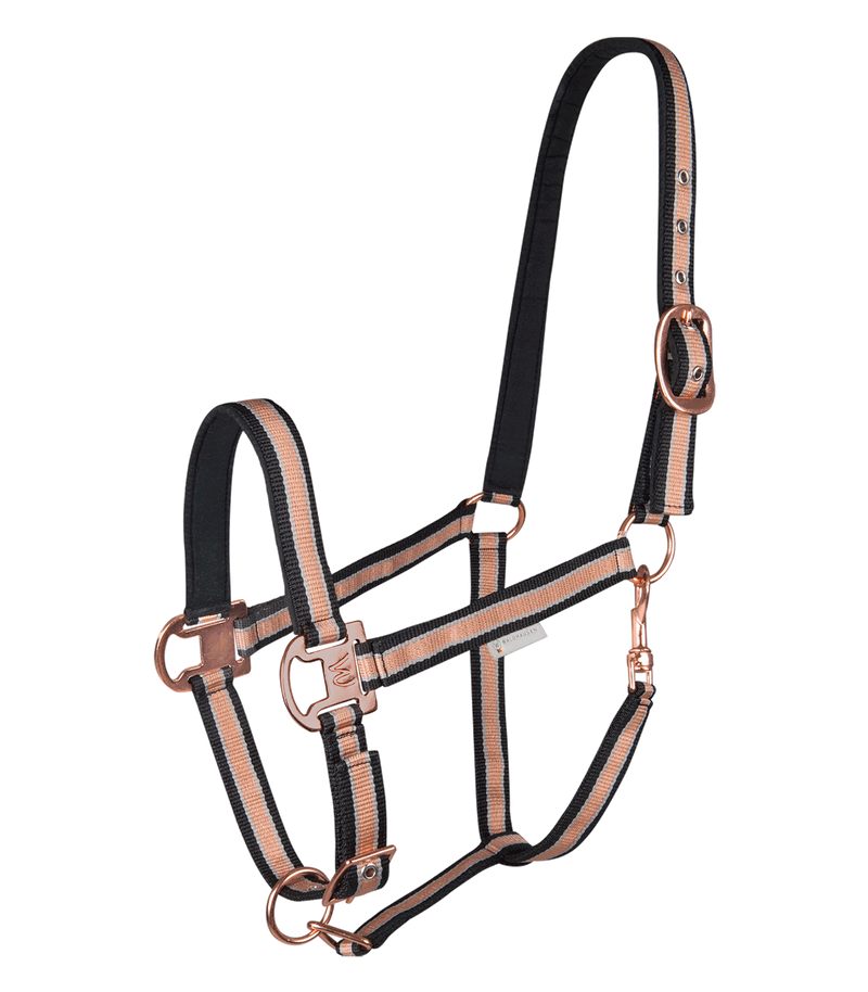 Chargez l'image dans la visionneuse de la galerie, Licol Shine