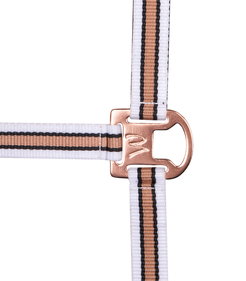 Chargez l'image dans la visionneuse de la galerie, Licol Shine