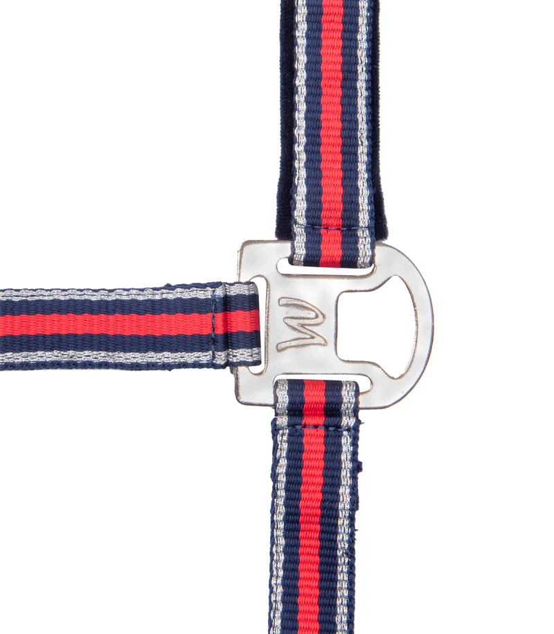 Chargez l'image dans la visionneuse de la galerie, Licol Shine