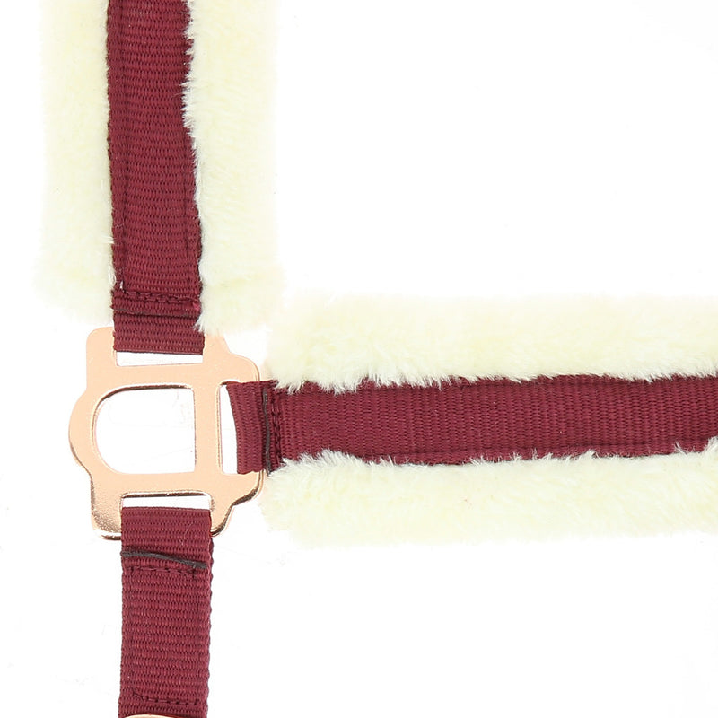 Chargez l'image dans la visionneuse de la galerie, Licol Nylon Mouton synthétique