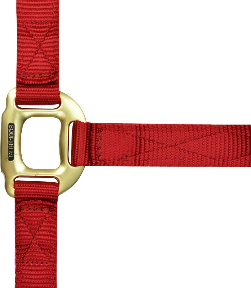 Chargez l'image dans la visionneuse de la galerie, Licol Nylon