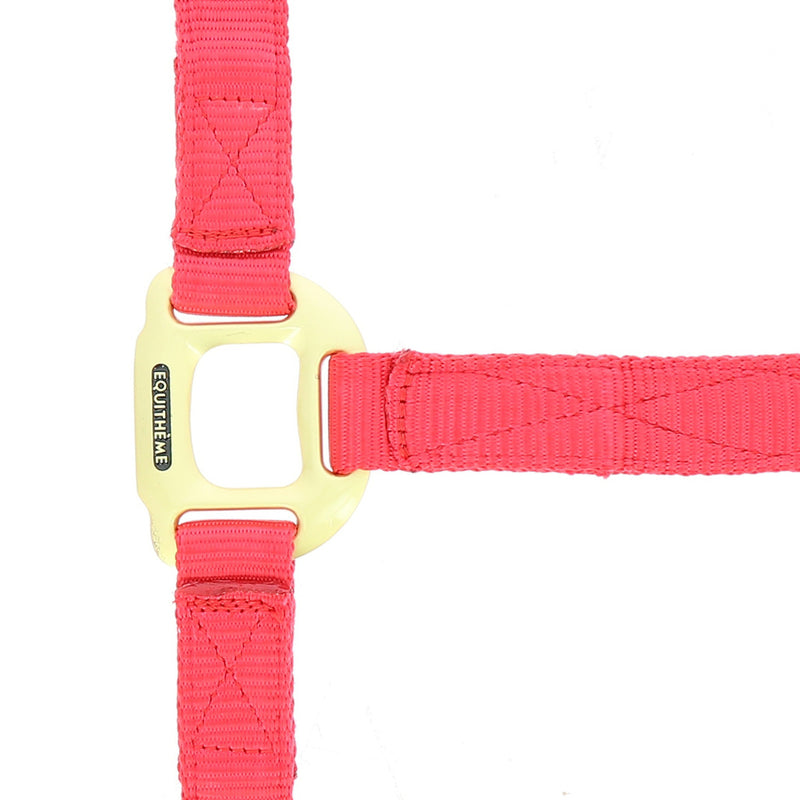 Chargez l'image dans la visionneuse de la galerie, Licol Nylon