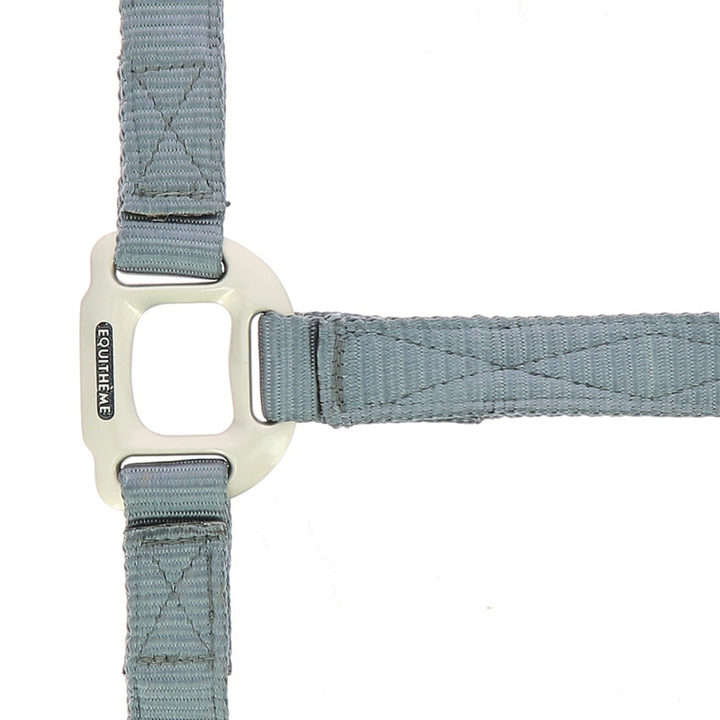 Chargez l'image dans la visionneuse de la galerie, Licol Nylon