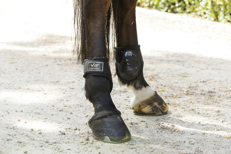 Chargez l'image dans la visionneuse de la galerie, Protèges boulets youngster V22