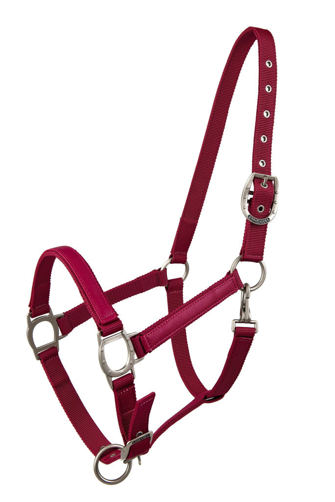 Chargez l'image dans la visionneuse de la galerie, Licol LC