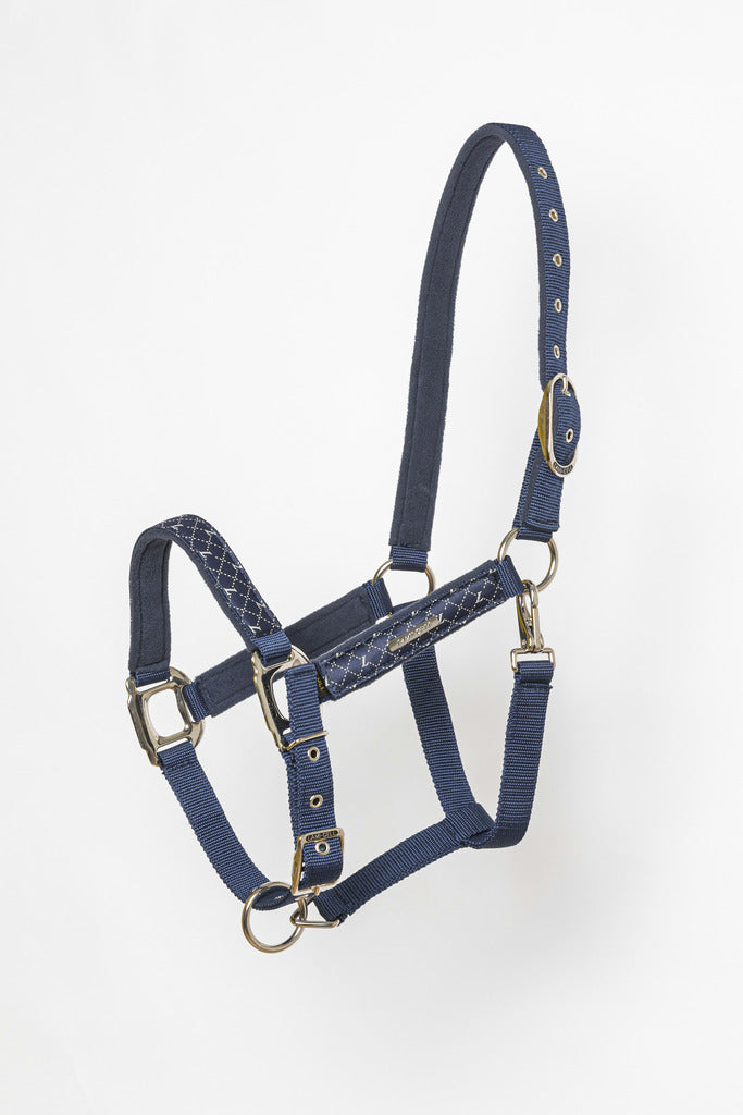 Chargez l'image dans la visionneuse de la galerie, Licol Vénus