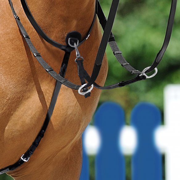 Chargez l'image dans la visionneuse de la galerie, Martingale running