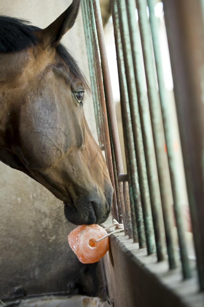 Chargez l'image dans la visionneuse de la galerie, Pierre à sel de l'Himalaya