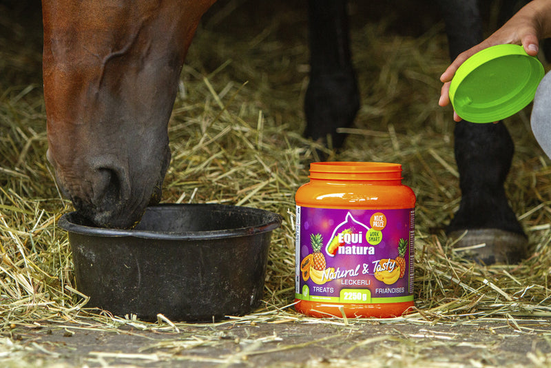 Chargez l'image dans la visionneuse de la galerie, Friandises Equinatura