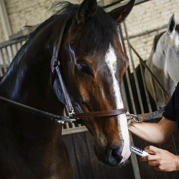 Chargez l'image dans la visionneuse de la galerie, Instant Magic