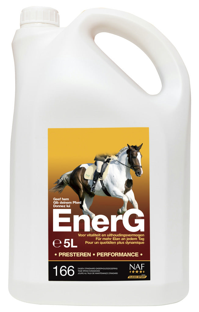 Chargez l'image dans la visionneuse de la galerie, EnerG