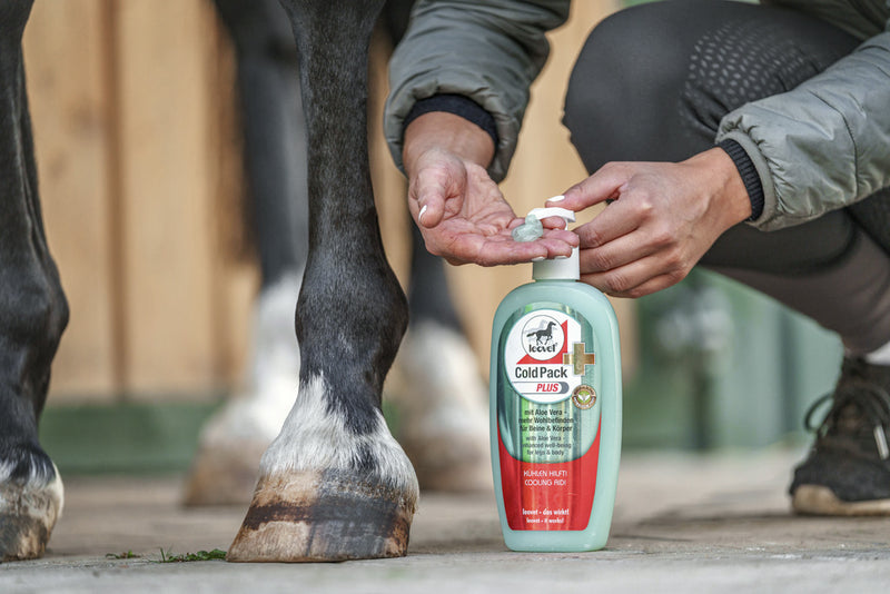 Chargez l'image dans la visionneuse de la galerie, Gel rafraichissant Aloe vera