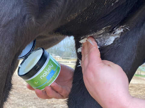 Chargez l'image dans la visionneuse de la galerie, NATJELY