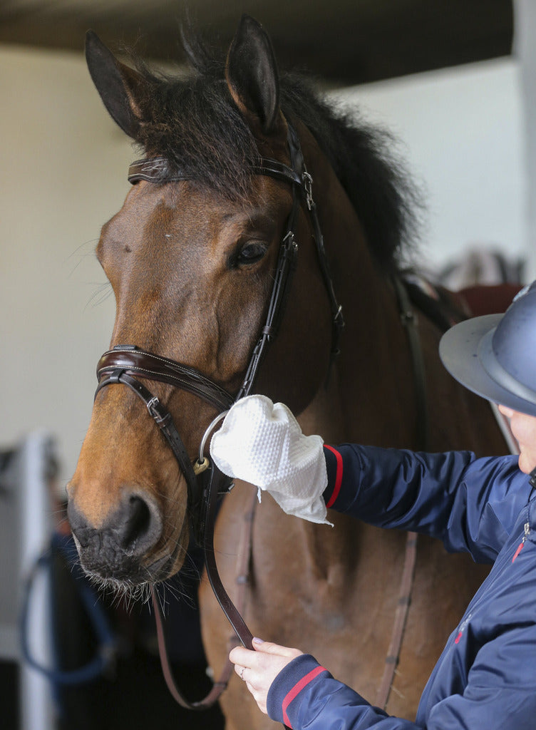 Chargez l'image dans la visionneuse de la galerie, Gants de nettoyage Belvoir