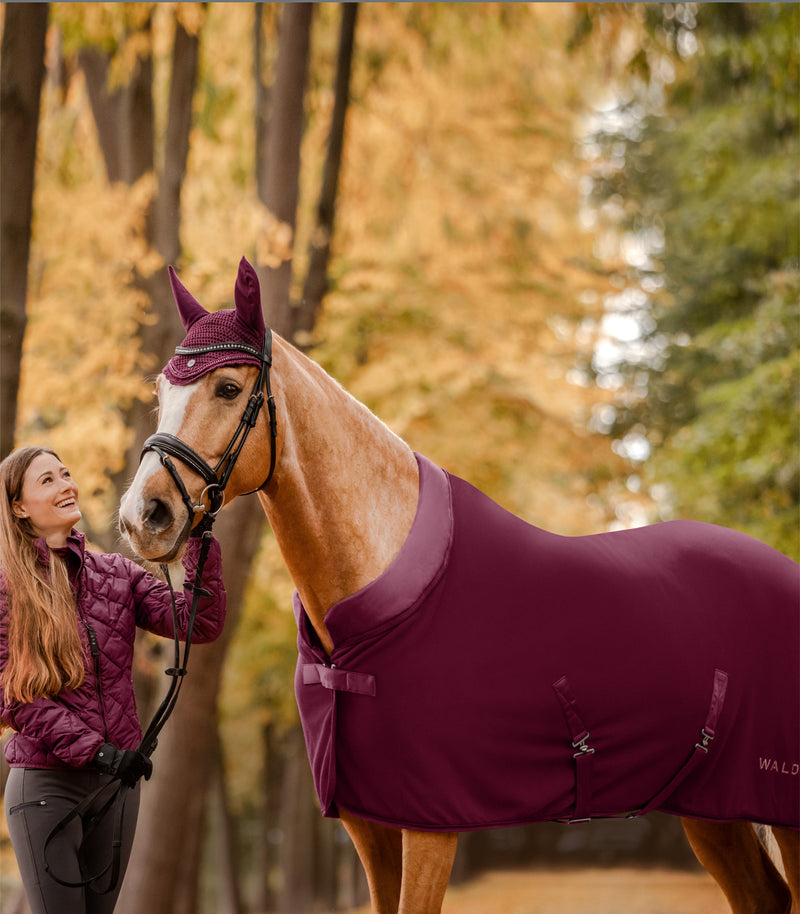 Chargez l'image dans la visionneuse de la galerie, Couverture polaire Népal