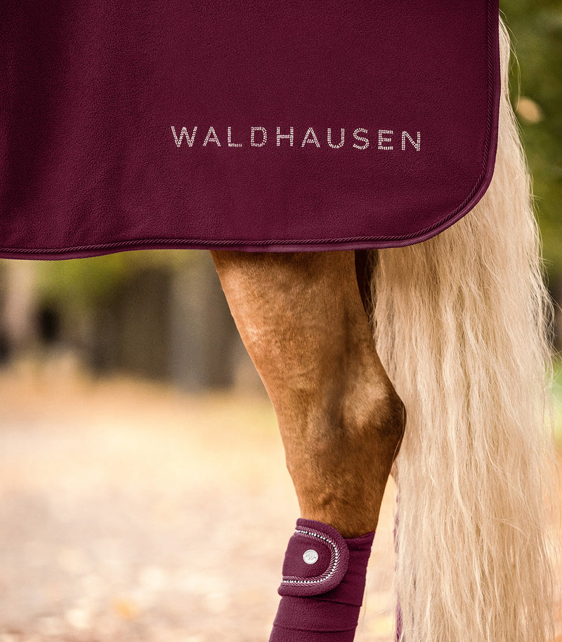 Chargez l'image dans la visionneuse de la galerie, Couverture polaire Népal